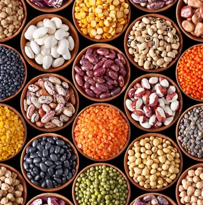 Legumes